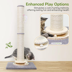 Globlazer solid wood tracking ball offers engaging movement during sessions
