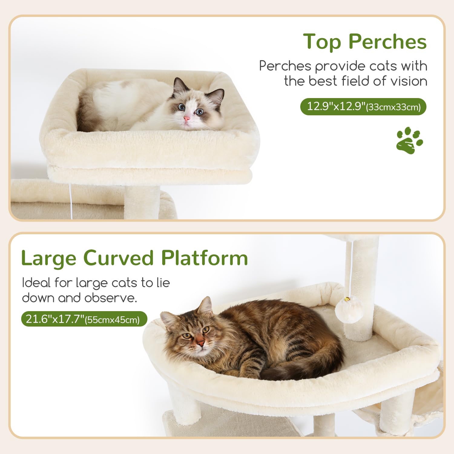 Globlazer three spacious condos offer private space for cats