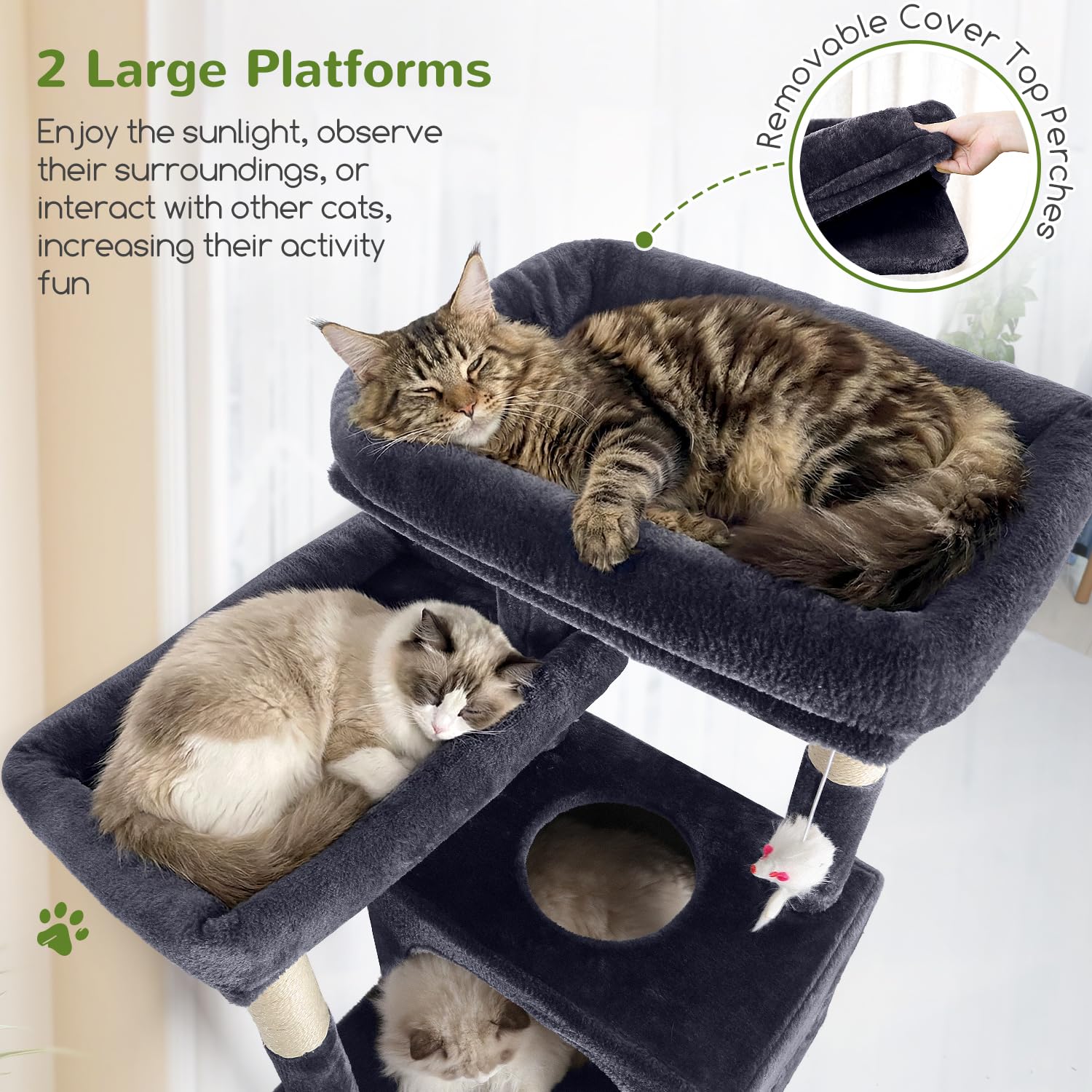 Globlazer two hammocks relax spots in sunlit corners for naps.