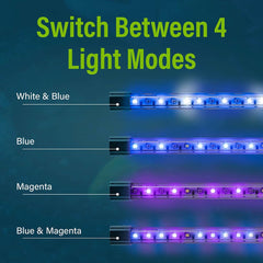 Four lighting modes: white, blue, magenta, and blue-magenta for flexible ambiance.