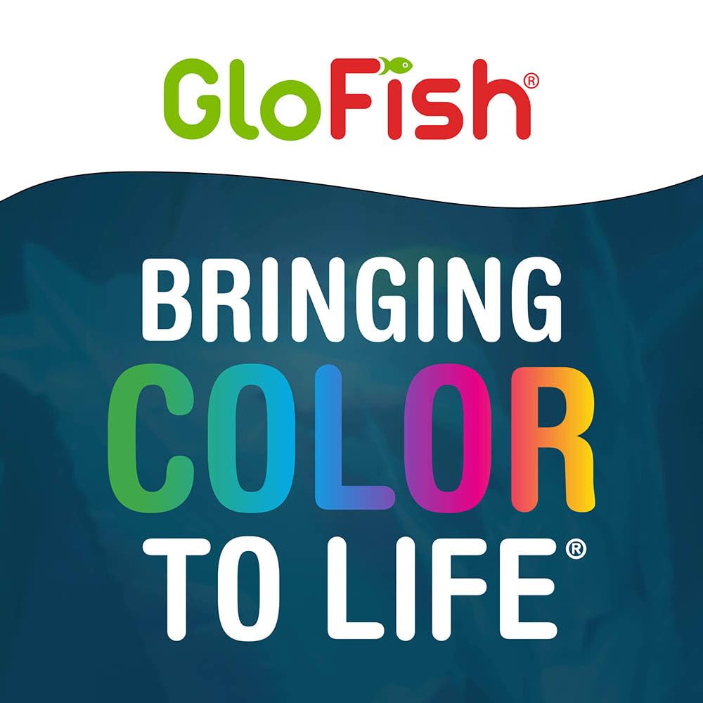 Magenta light makes GloFish fluoresce vividly with complementary hues.
