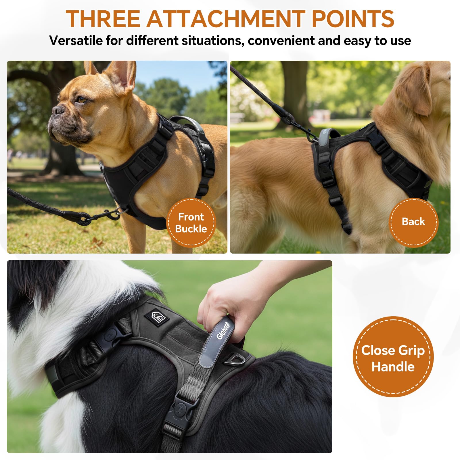 Glohoop harness with breathable mesh lining to keep dogs cool.