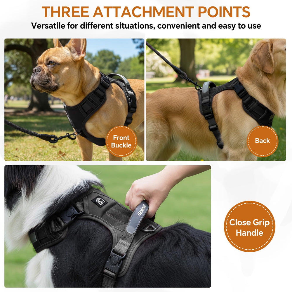 Glohoop harness with breathable mesh lining to keep dogs cool.