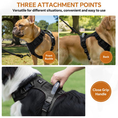 Glohoop harness with breathable mesh lining to keep dogs cool.