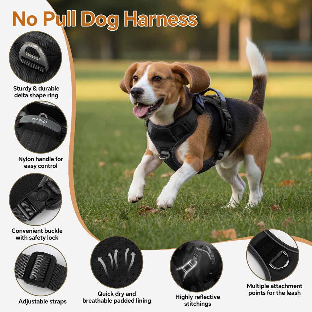 Glohoop harness top handle for quick grip in emergencies.