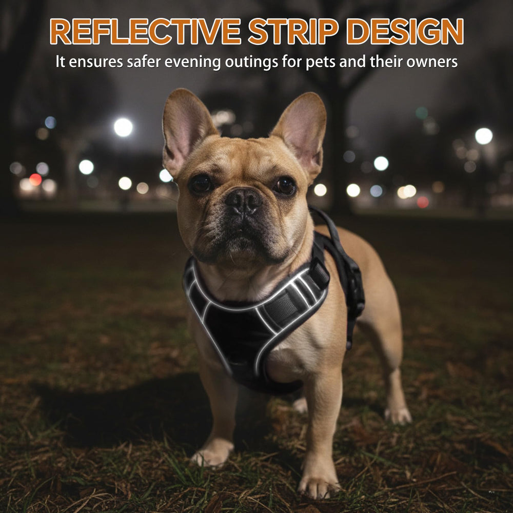 Glohoop triple-buckle design for easy on/off and secure fit.