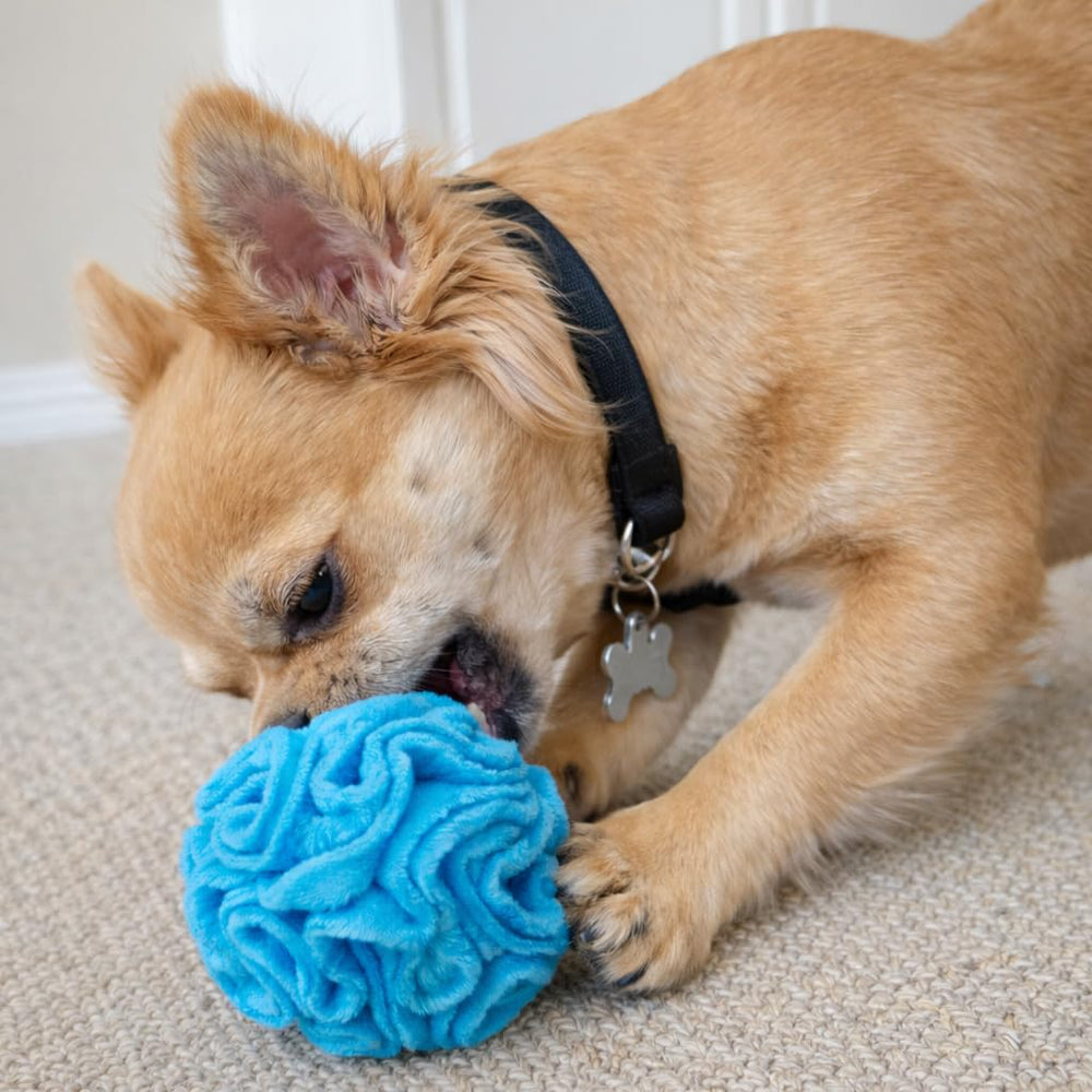 Glory To Dog foraging toy filled with kibble promotes mental engagement.