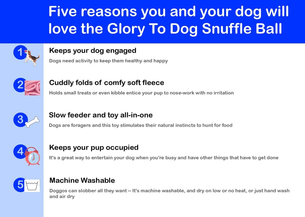 Glory To Dog snuffle ball side view showing compact design for indoor play.