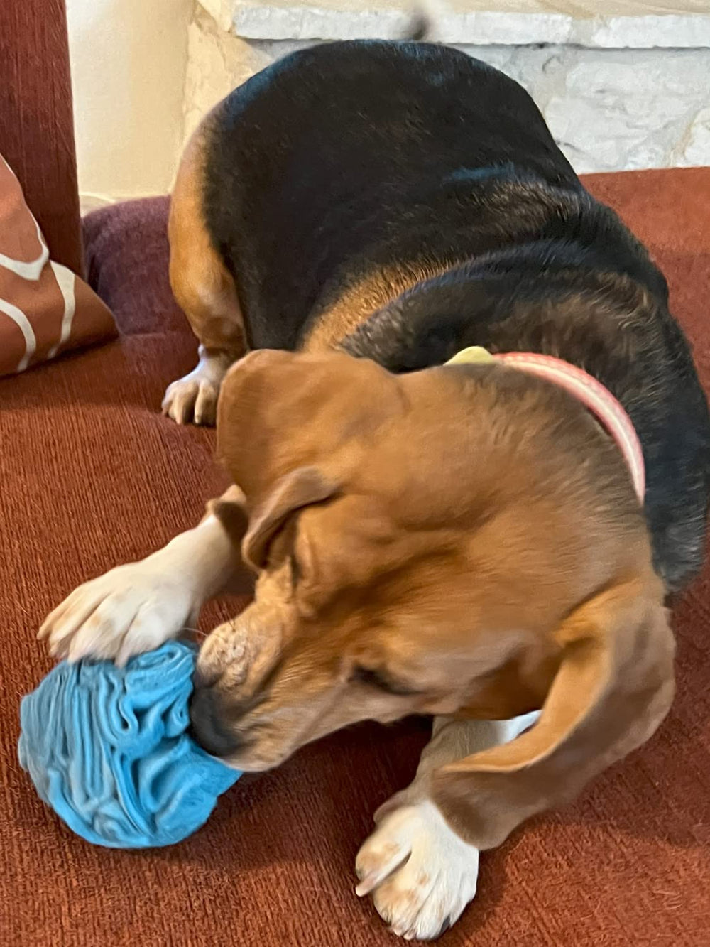 Glory To Dog snuffle ball gift-ready packaging idea for new dog owners.