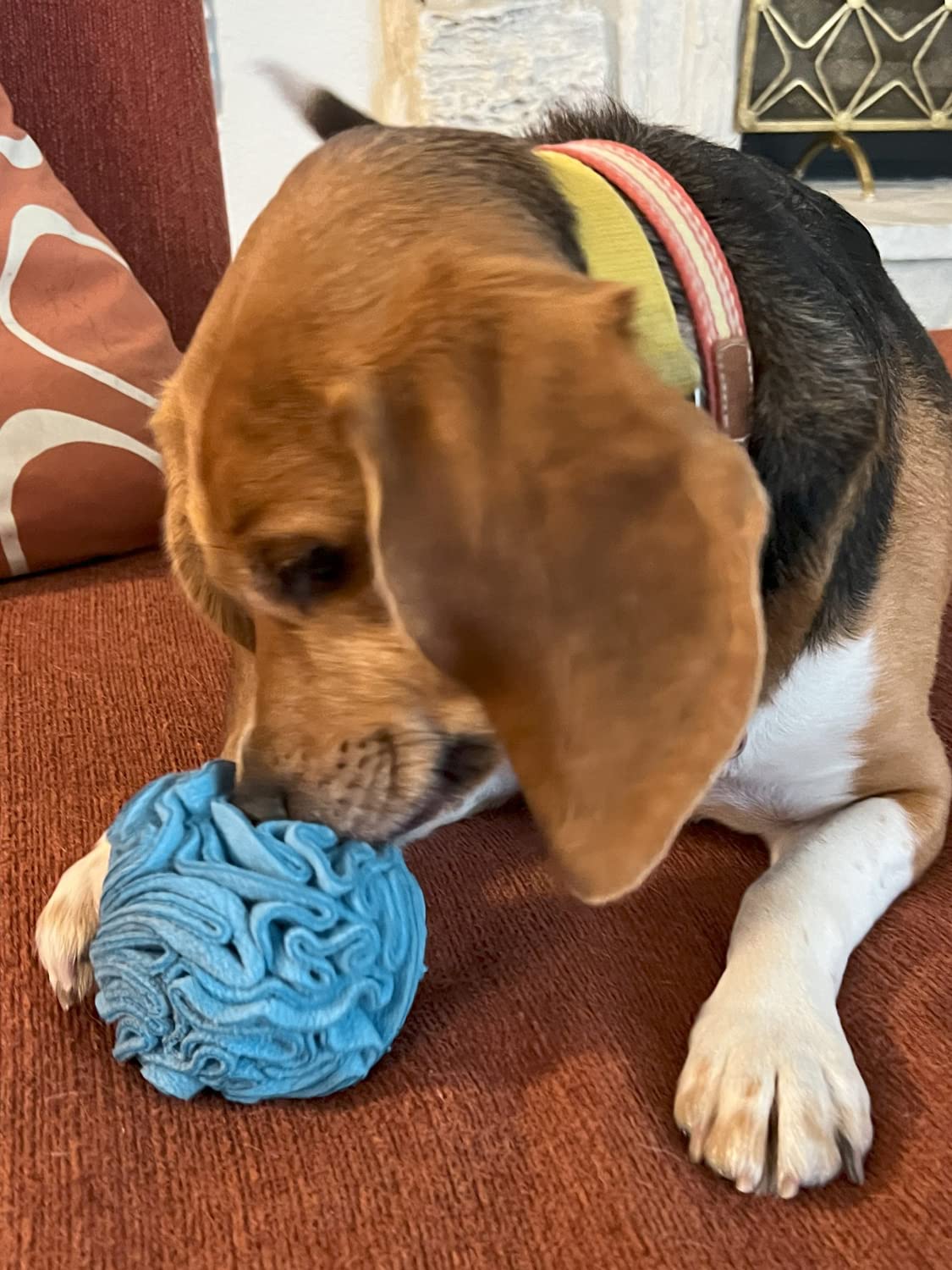 Glory To Dog snuffle ball reward play demonstrates foraging and treat rewards.