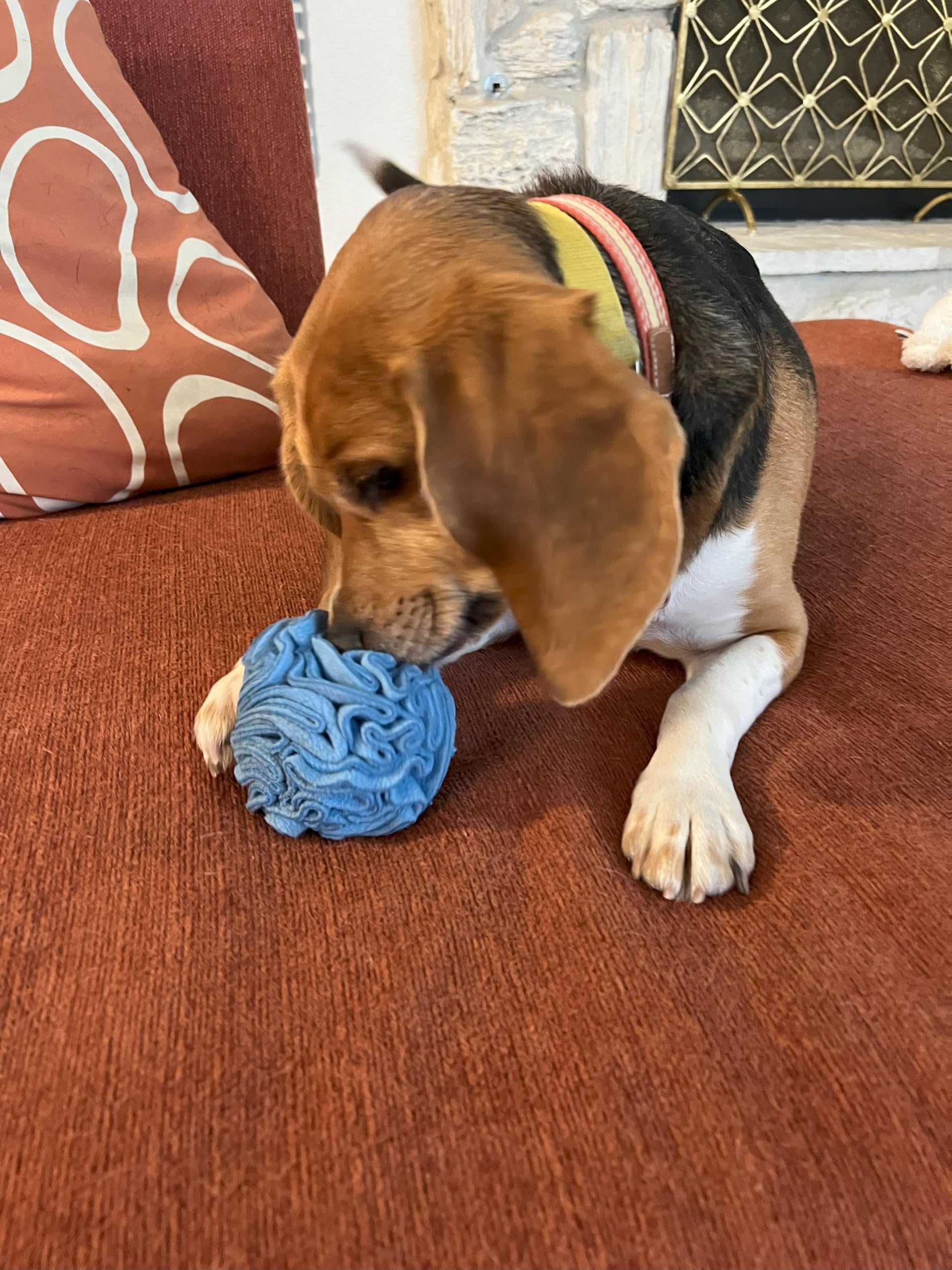 Glory To Dog snuffle ball side view, small breed puzzle boosts scent exploration.