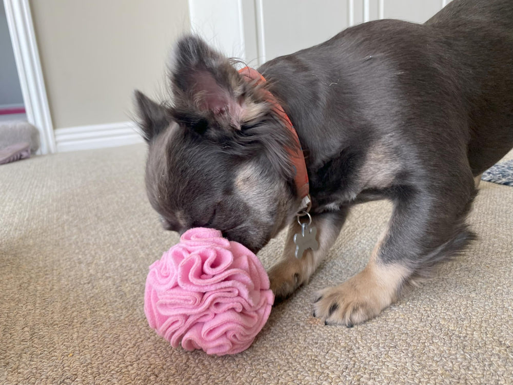 Glory To Dog snuffleball pink machine washable with low-heat dry for easy cleaning