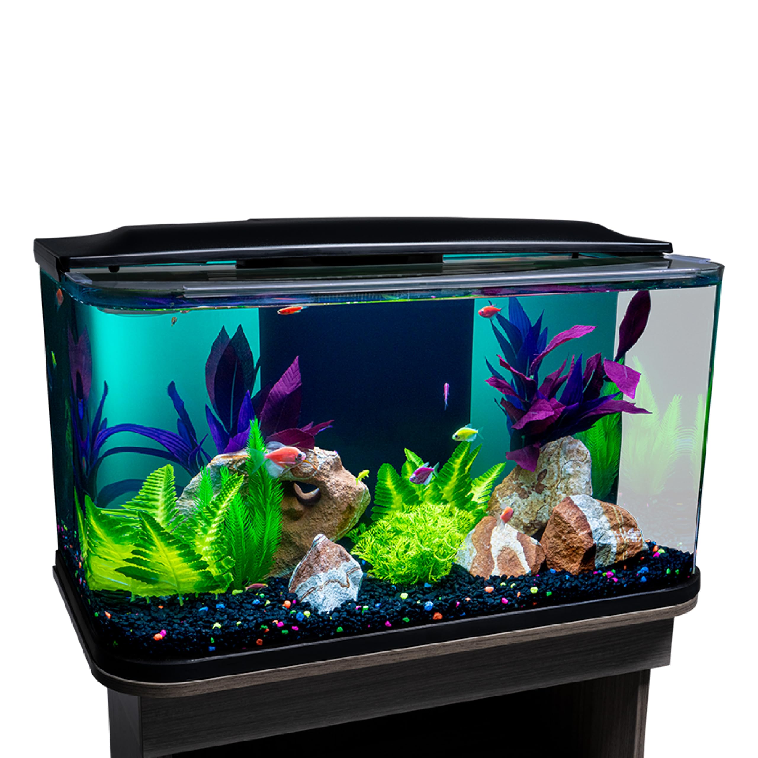 GloFish 20-gallon aquarium curved front view highlights vibrant fish from every angle.