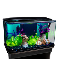 GloFish 20-gallon aquarium curved front view highlights vibrant fish from every angle.