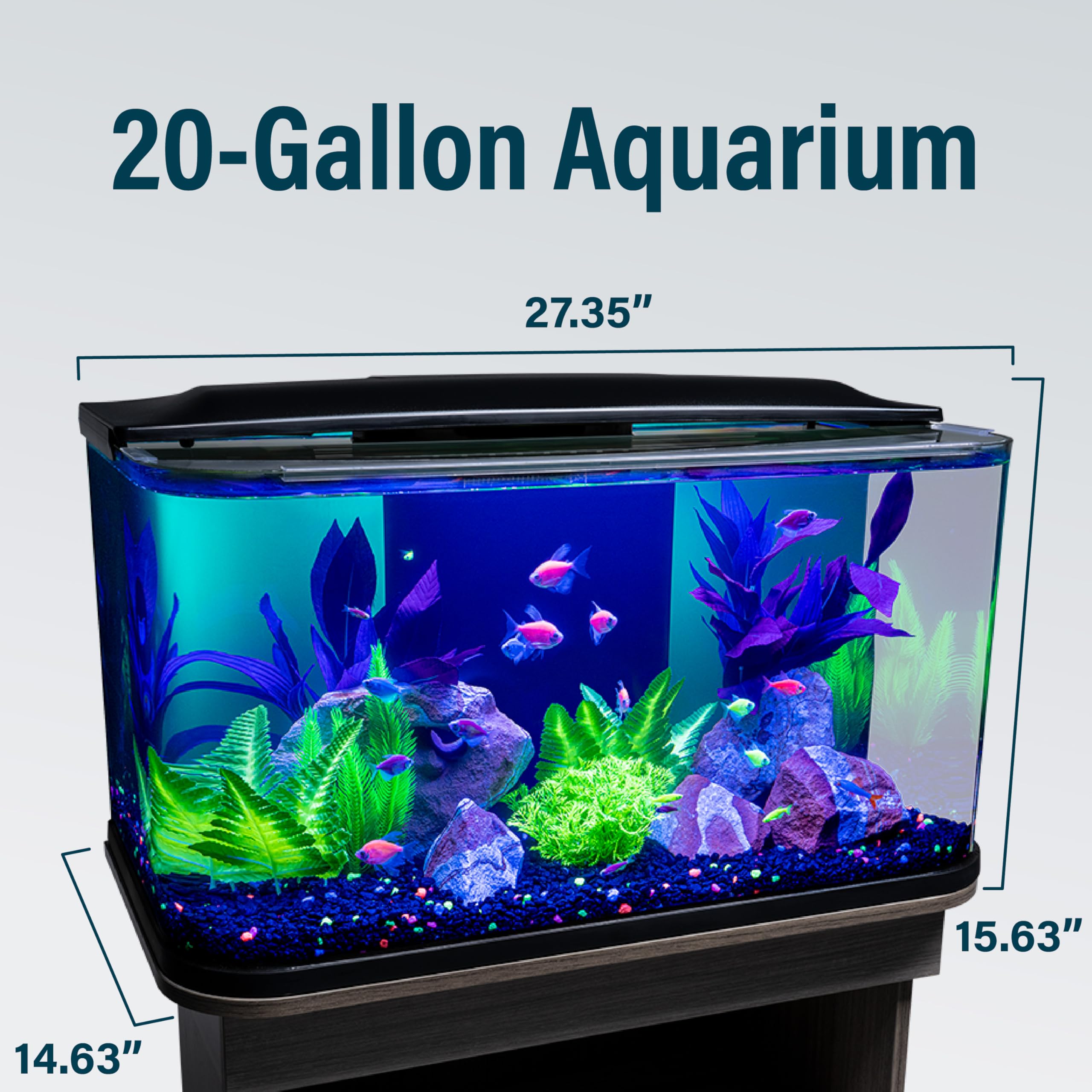 GloFish hood with LED light sticks illuminating colors clearly for vibrant viewing.