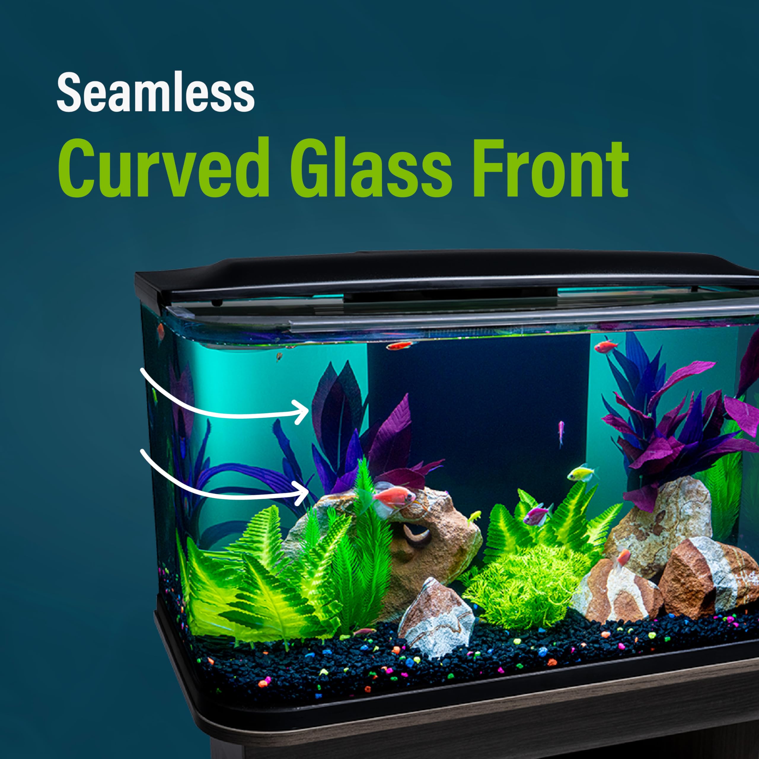 Back panel filtration system keeps the setup tidy and unobtrusive for a clean look.