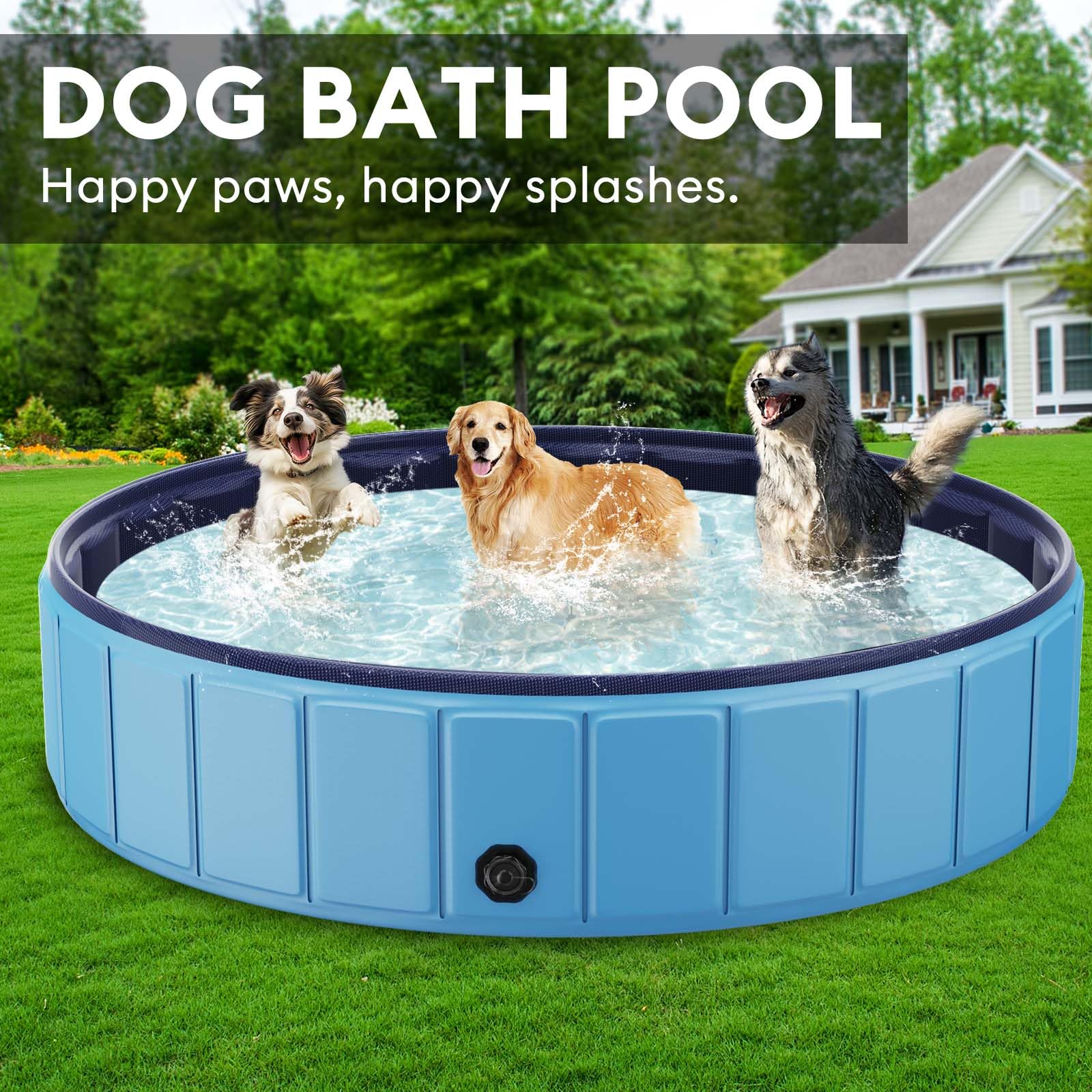 Glowpoint blue dog pool doubles as kiddie pool for supervised play.