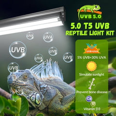 GlowUp 22inch T5 UVB kit, side view, supports daily reptile lighting.