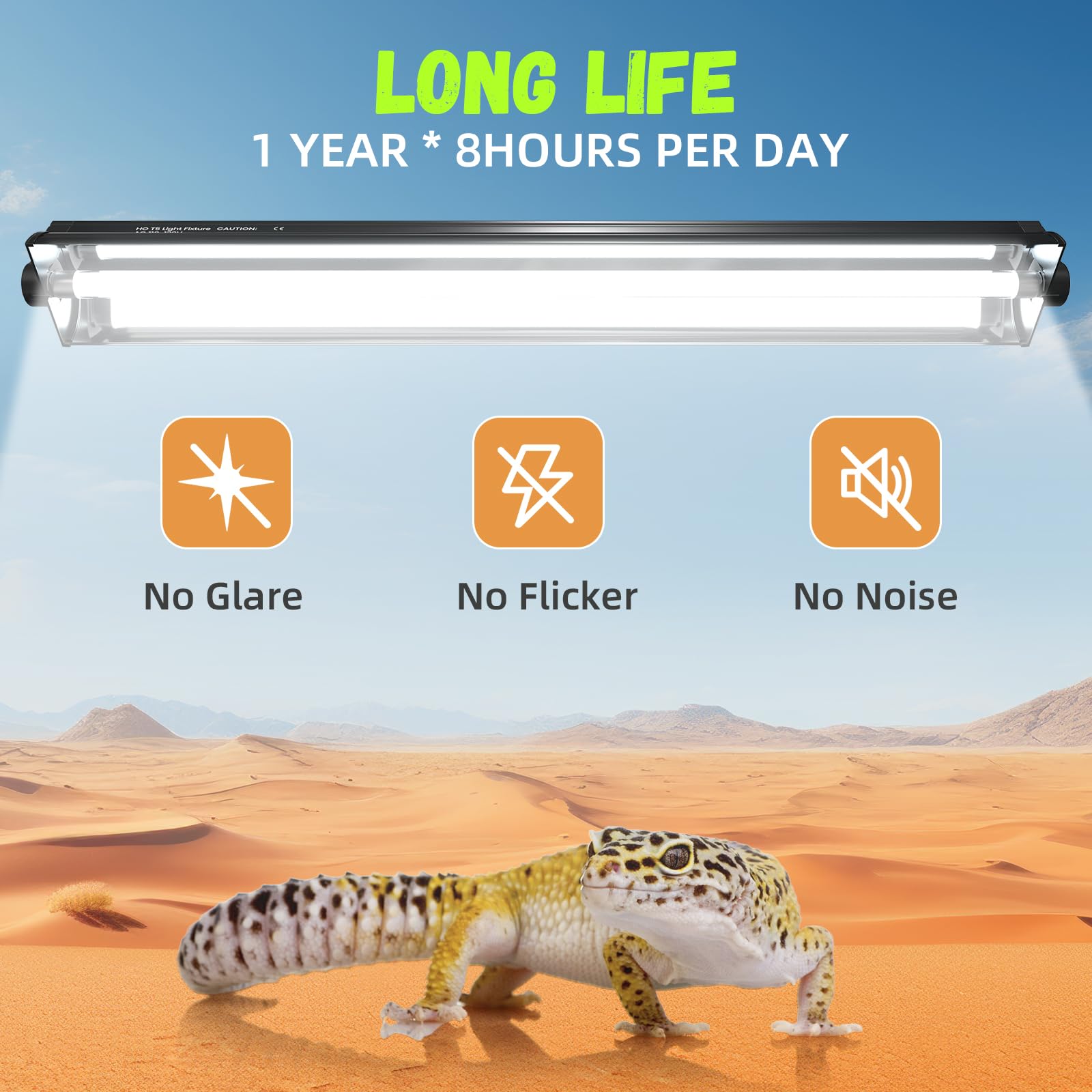 GlowUp tropical desert dwelling lizards habitat illuminated with UVB friendly light.