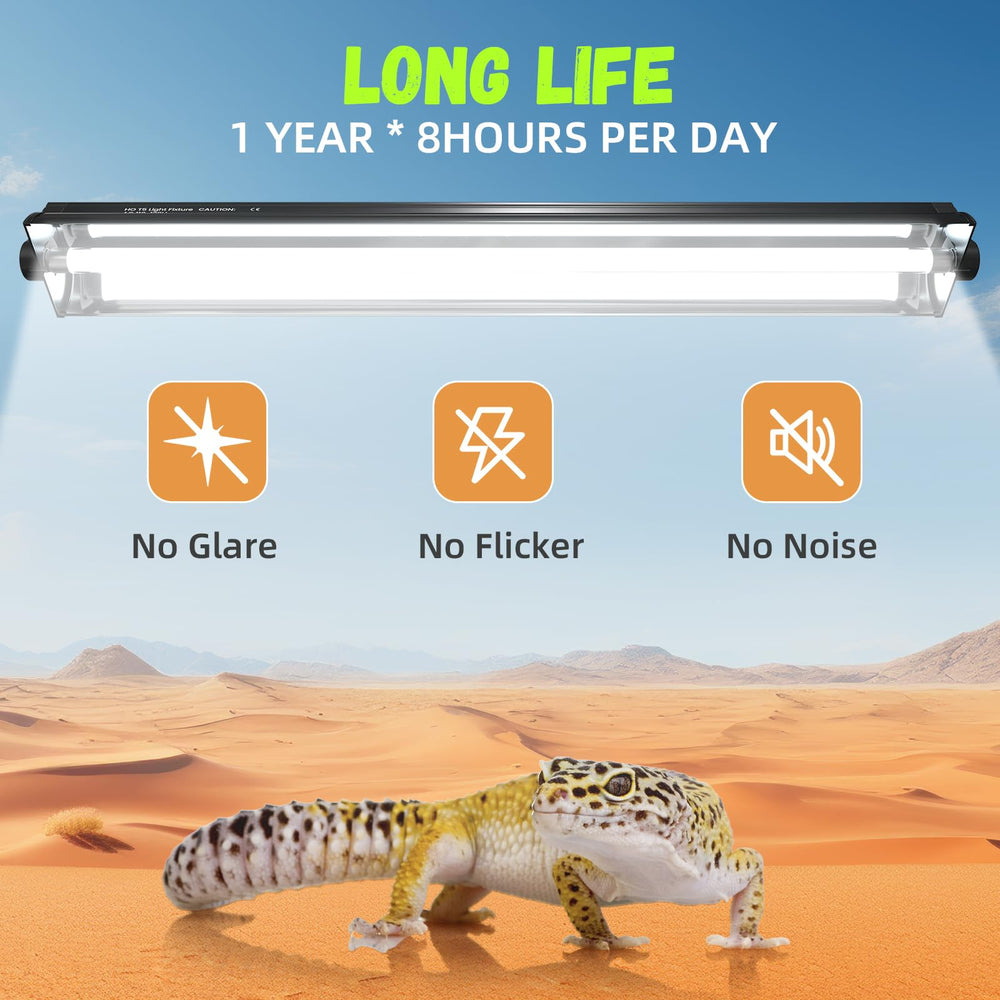 GlowUp tropical desert dwelling lizards habitat illuminated with UVB friendly light.