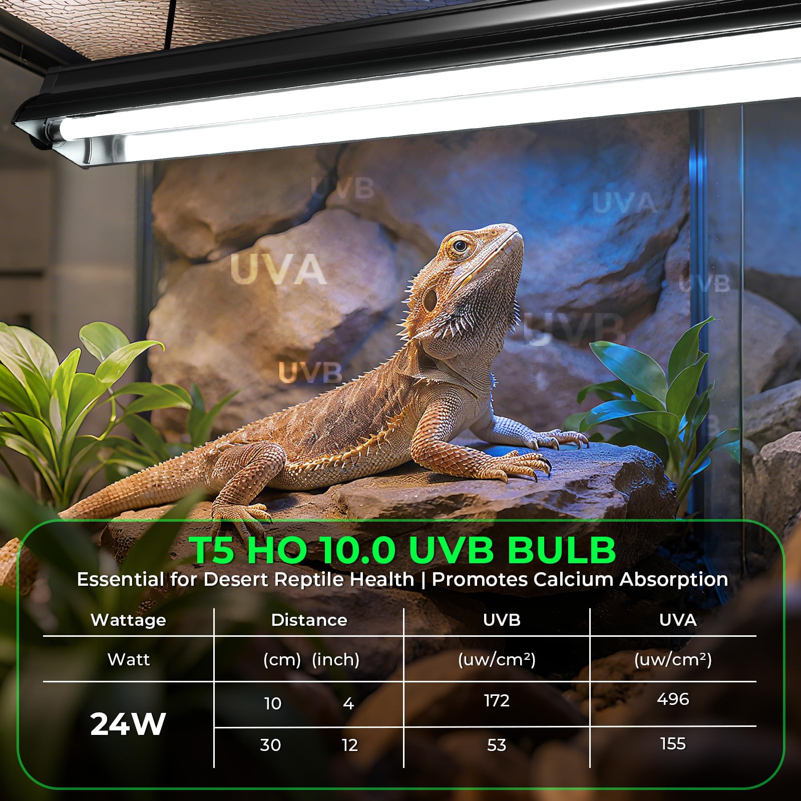 GlowUp UVB light bar demonstrates broad coverage across a reptile enclosure.