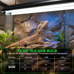 GlowUp UVB light bar demonstrates broad coverage across a reptile enclosure.