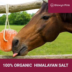 Glowyn Pink Himalayan Salt Lick block texture highlights pink mineral crystals