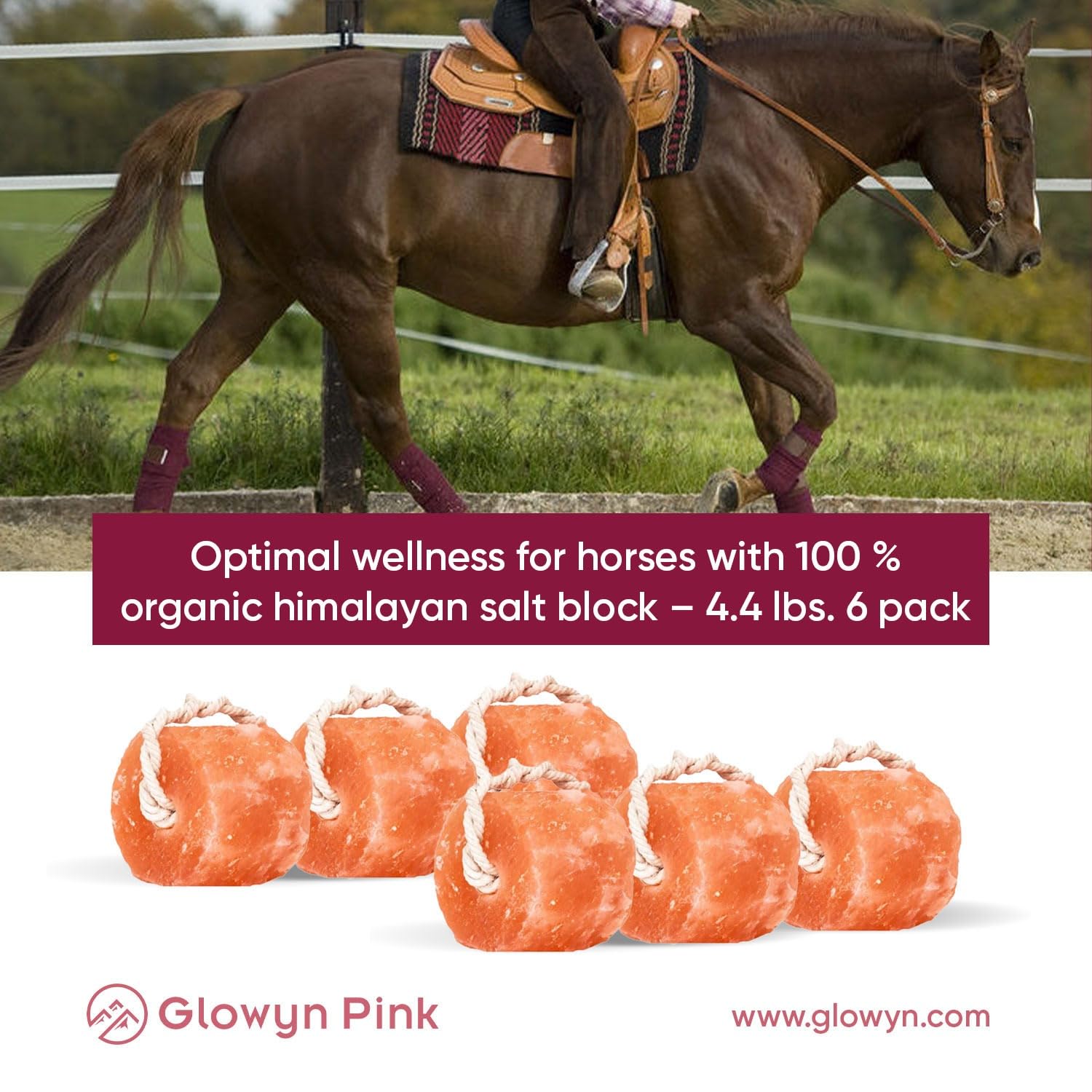 Glowyn Pink Himalayan Salt Lick in stable setting for everyday hydration