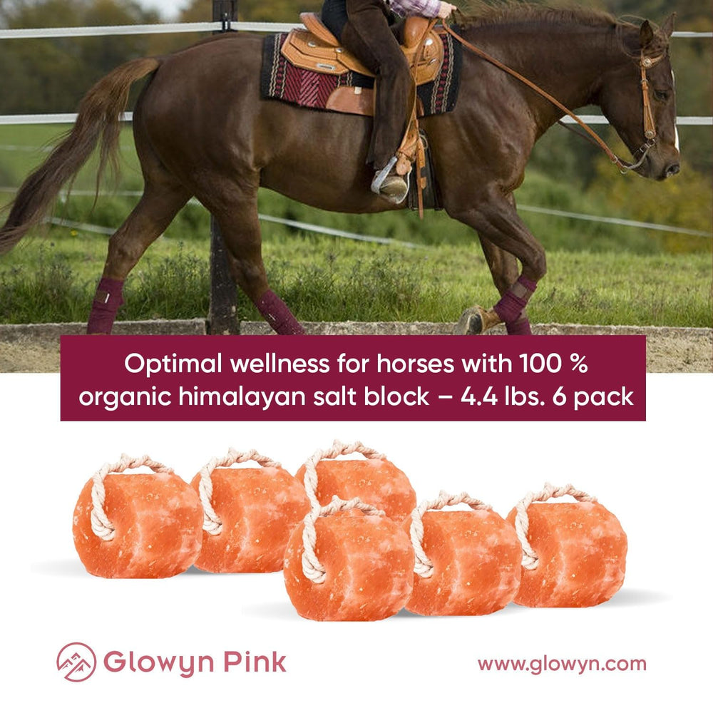 Glowyn Pink Himalayan Salt Lick in stable setting for everyday hydration