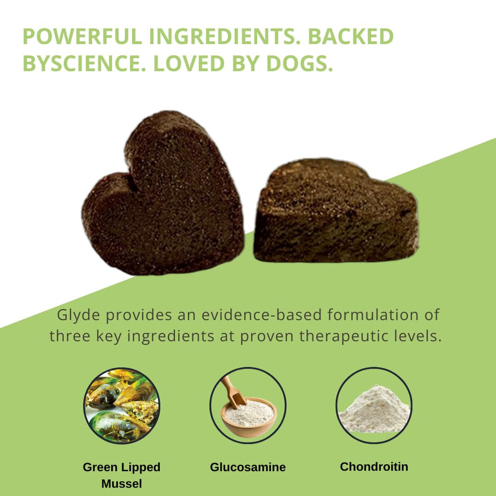 GLYDE Glyde Advanced gluten-free label suits dogs with sensitive stomachs.