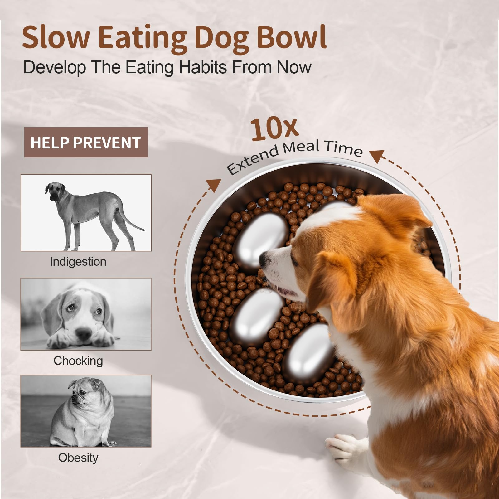 GLYVIAN slow feeder bowl made from 304 stainless steel for durability