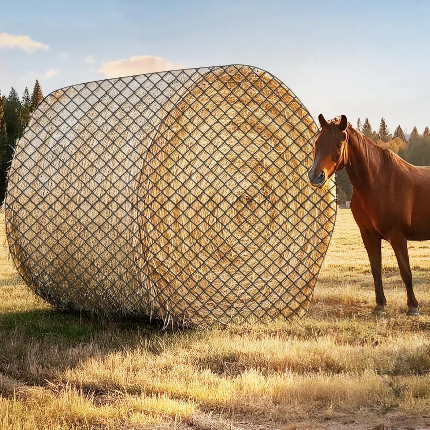 GmTonty round bale hay net 6ft with knotless design slows intake and reduces waste.