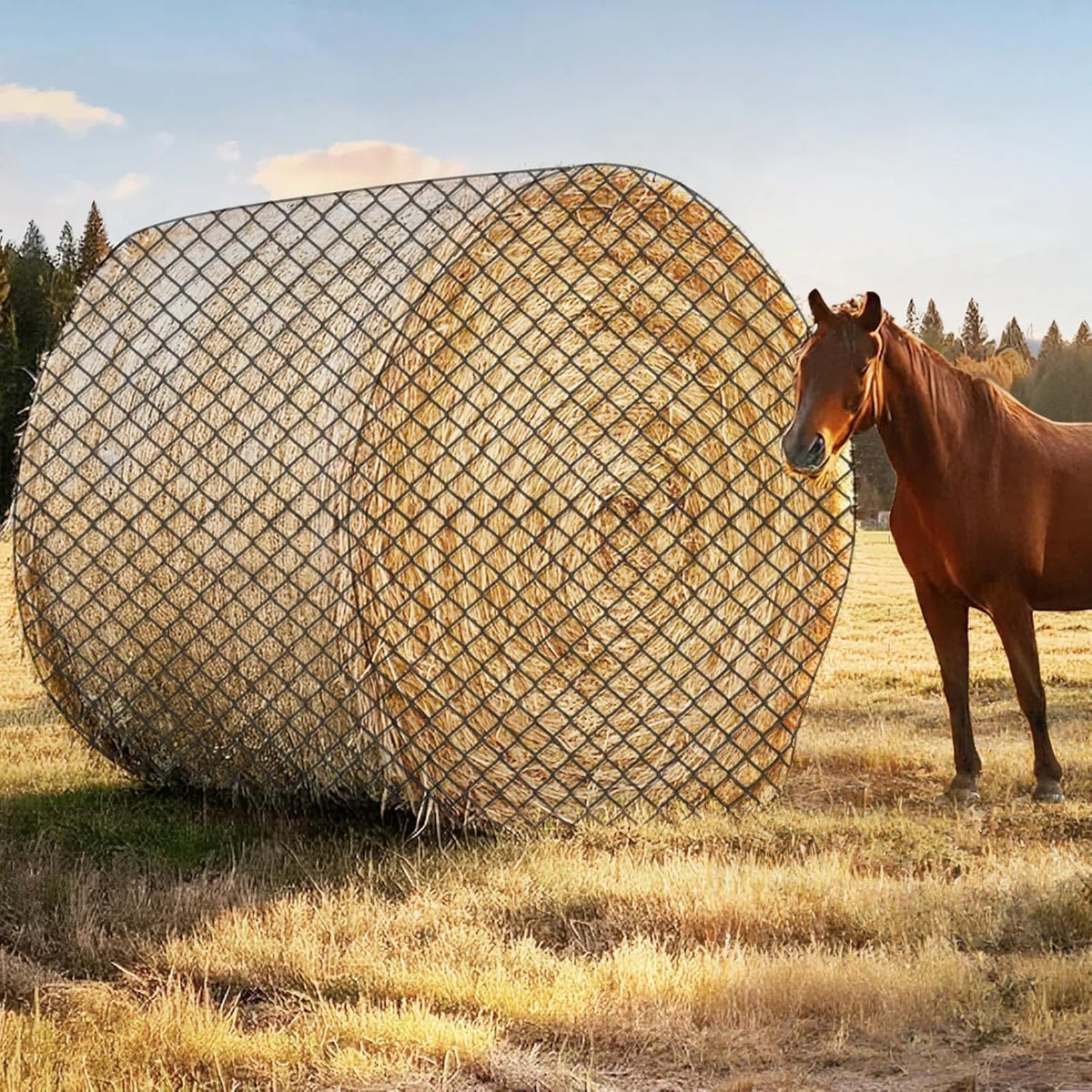 GmTonty round bale hay net 6ft with knotless design slows intake and reduces waste.