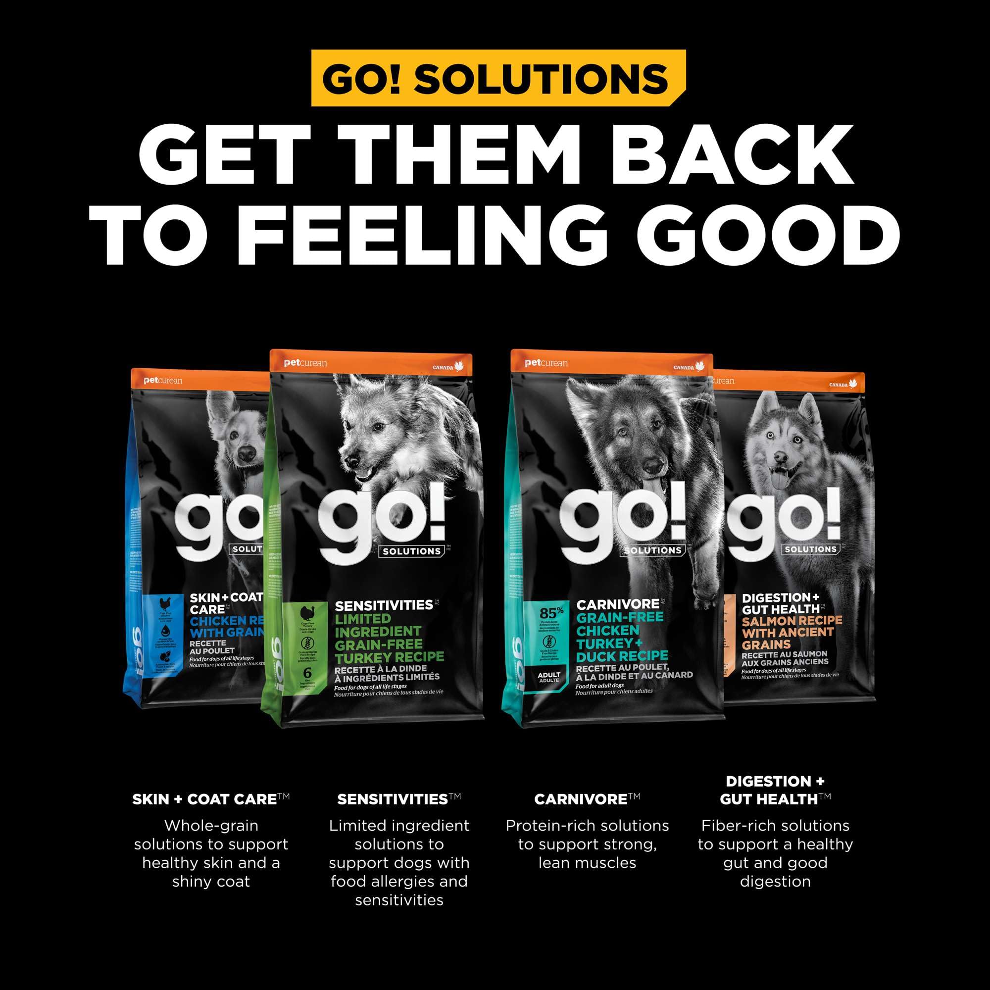 Go! Solutions lean protein salmon flavor delivering tasty, balanced nutrition for adults and seniors