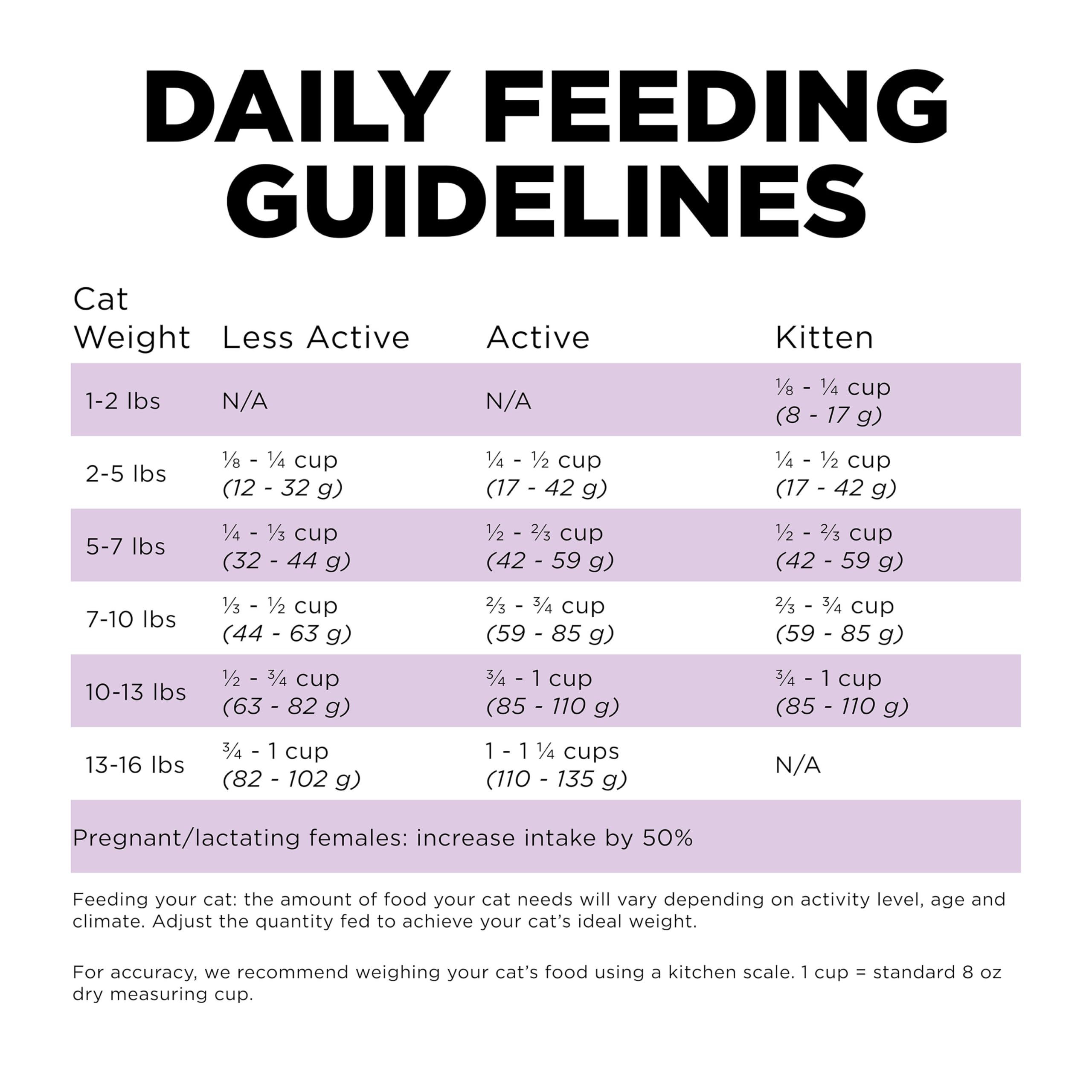 Go! Solutions Carnivore all-life-stages formula supports kittens to seniors