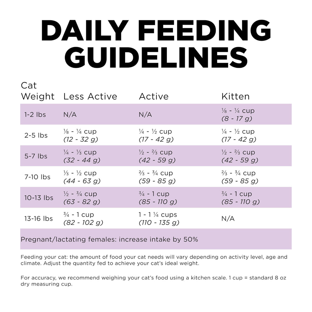 Go! Solutions Carnivore all-life-stages formula supports kittens to seniors