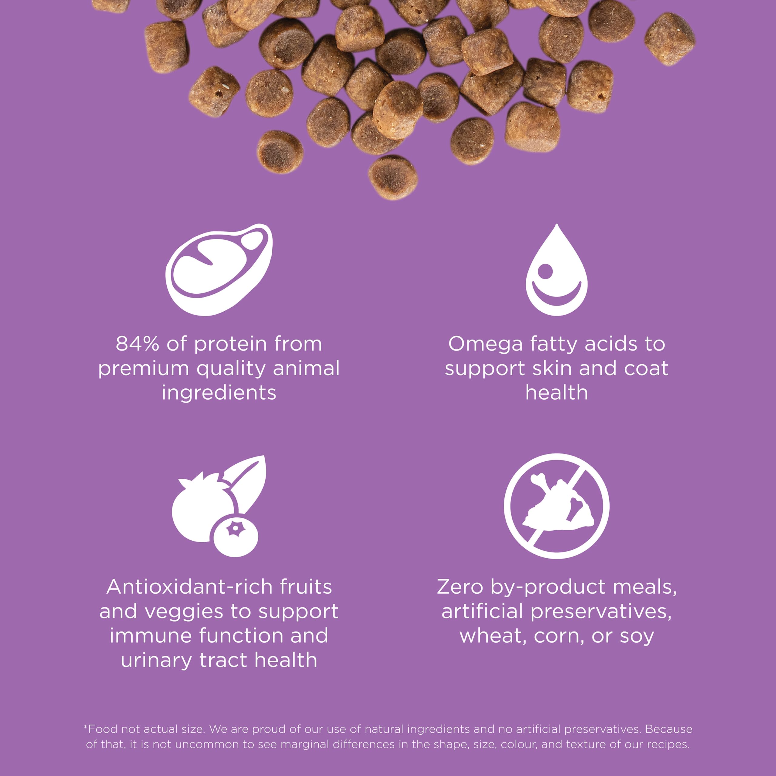 Go! Solutions Carnivore prebiotic fiber and pumpkin aid gut health and digestion