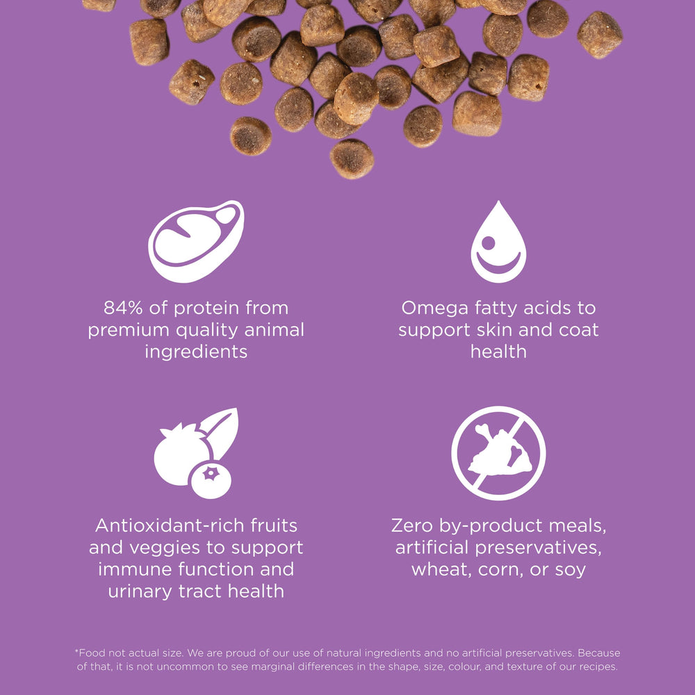 Go! Solutions Carnivore prebiotic fiber and pumpkin aid gut health and digestion