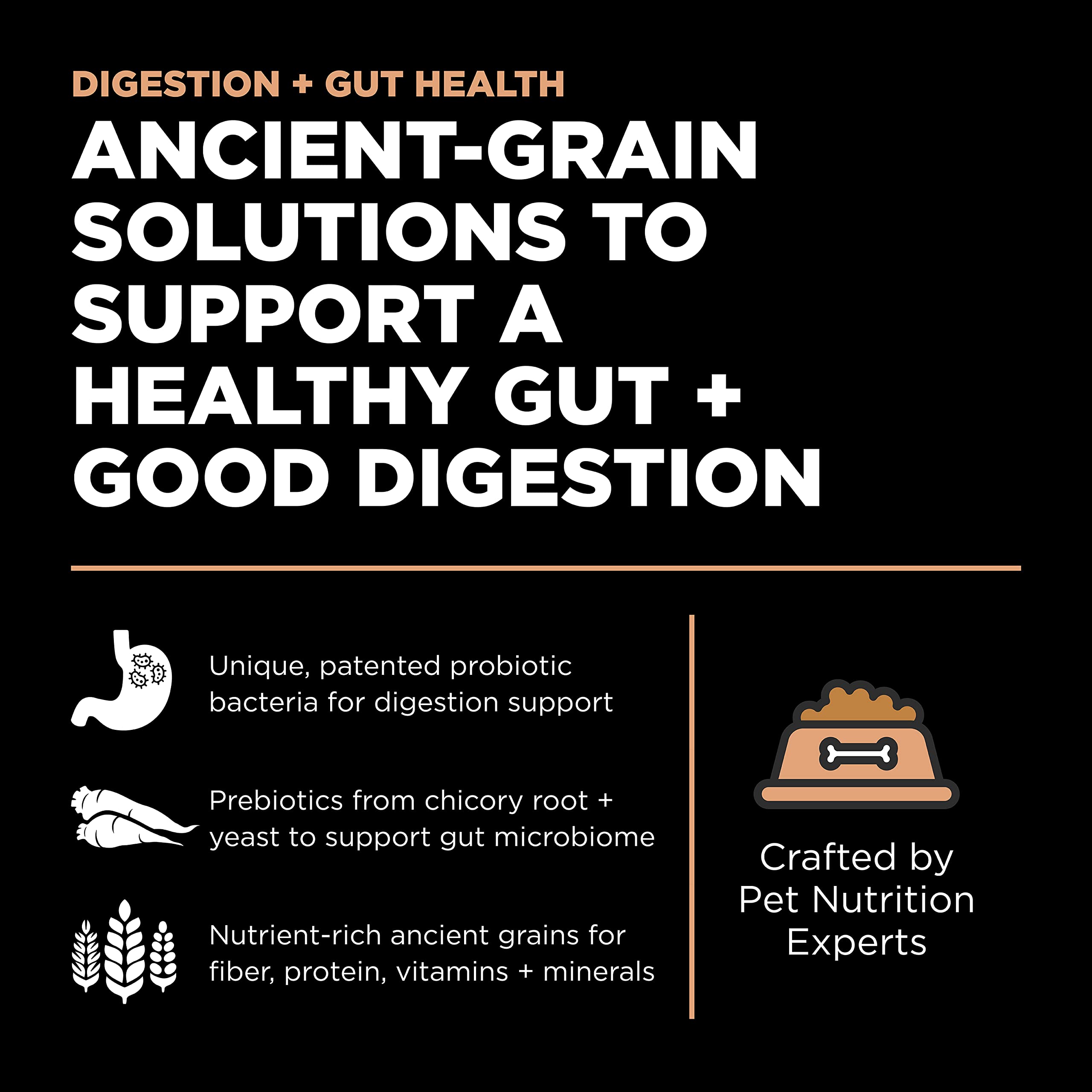 Go! Solutions ancient grains bowl highlighting millet, quinoa, sorghum for balanced fiber.