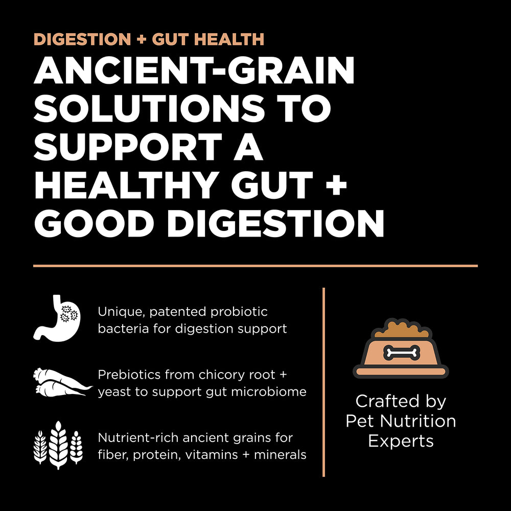 Go! Solutions ancient grains bowl highlighting millet, quinoa, sorghum for balanced fiber.