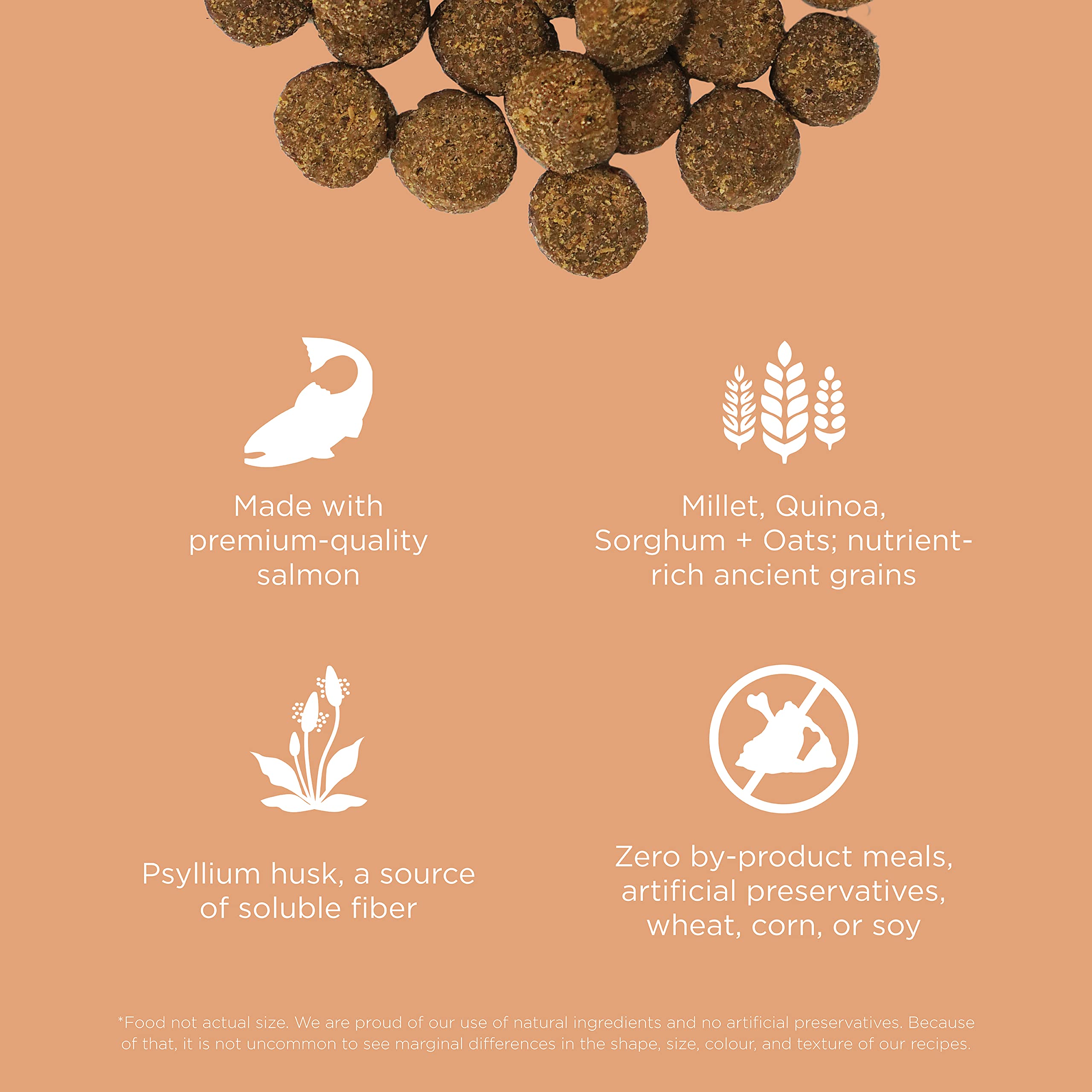 Go! Solutions psyllium husk and chicory root fiber for gentle digestion.