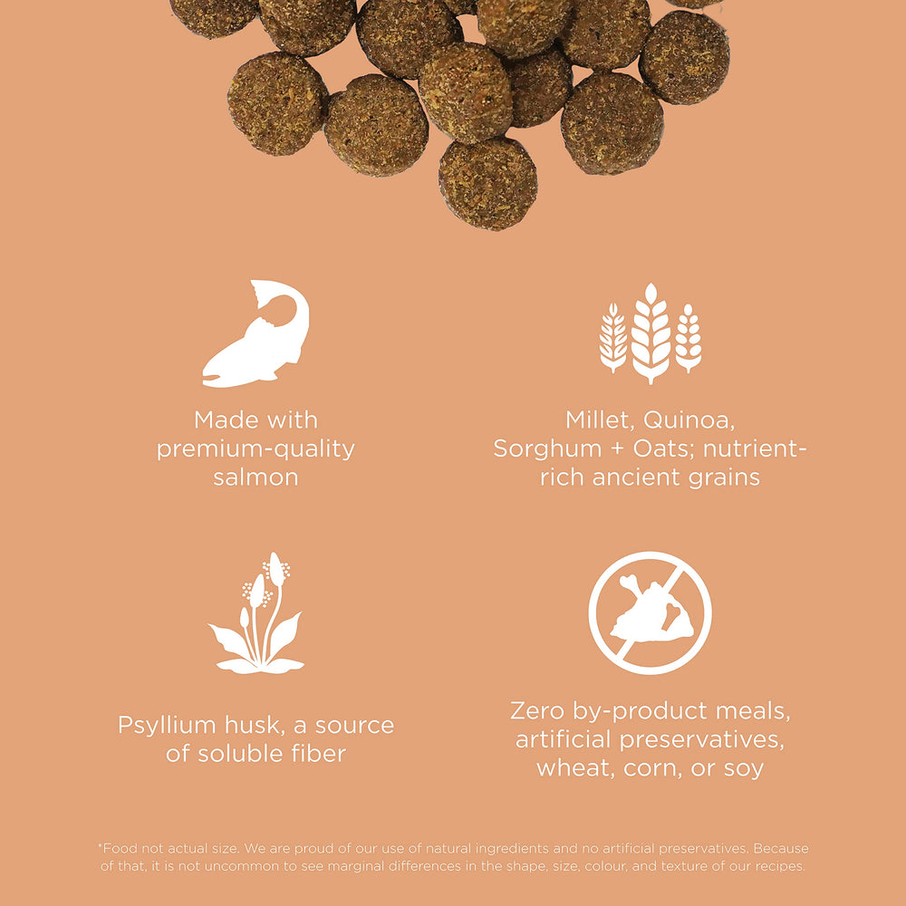 Go! Solutions psyllium husk and chicory root fiber for gentle digestion.