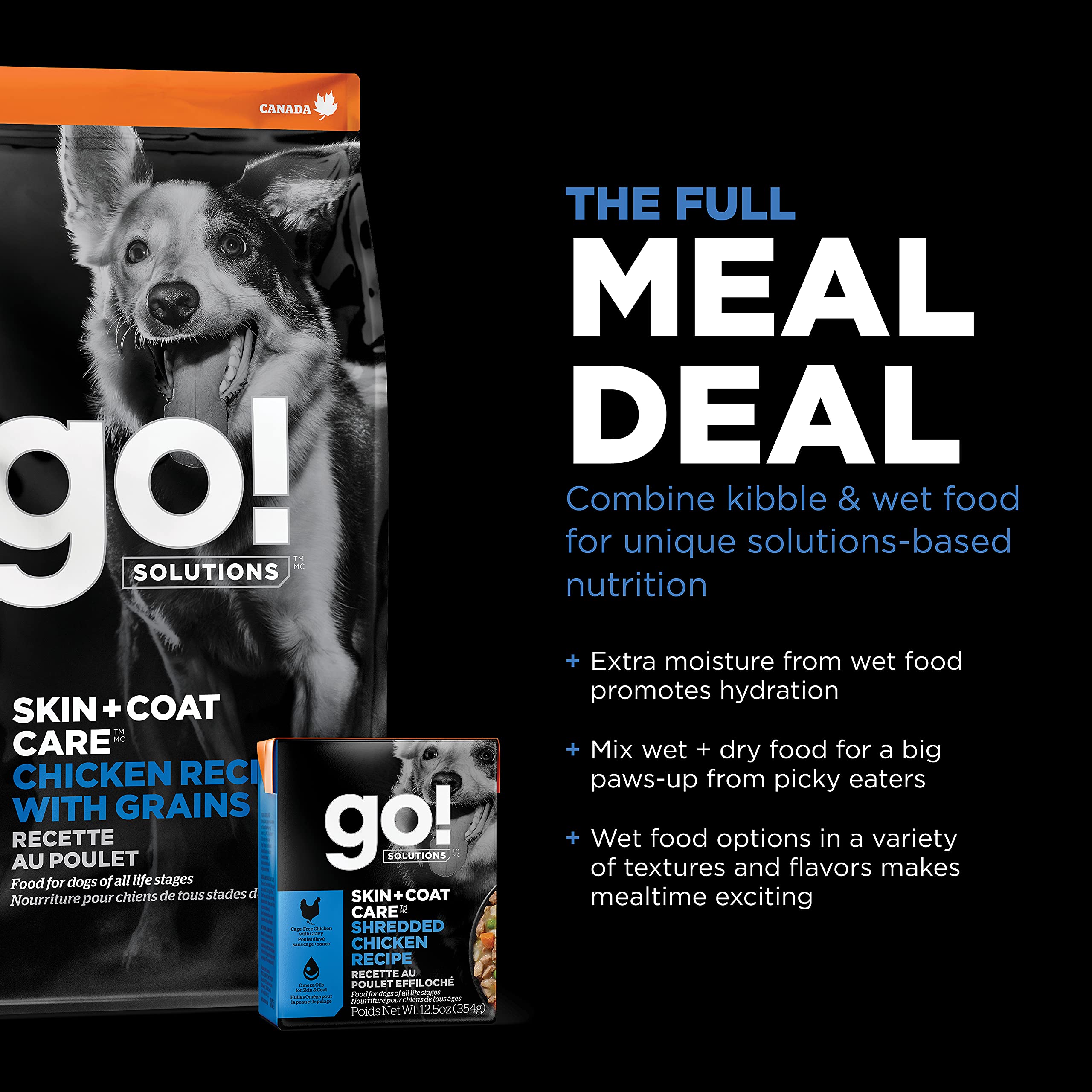 Go! Solutions dog with shiny coat after meal.