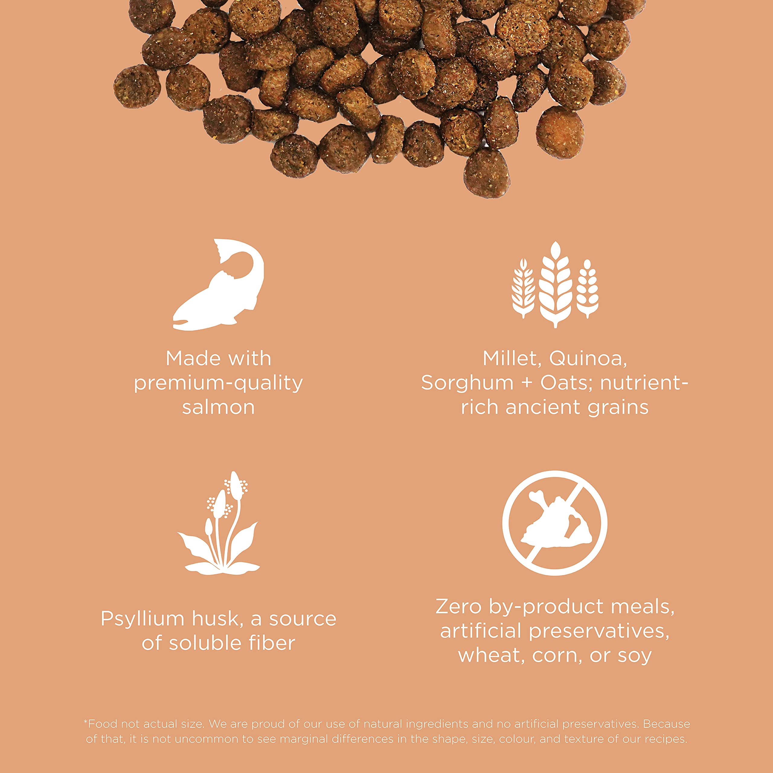 Go! Solutions includes prebiotics and a probiotic blend to nurture gut balance.