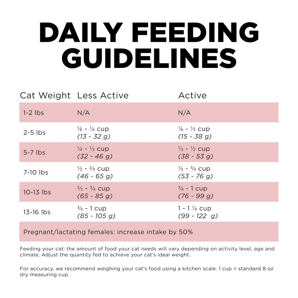 Go! Solutions Sensitivities 3lb bag of salmon cat food for trial feeding