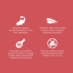 Go! Solutions Sensitivities grain-free dry cat food shown in kibble form