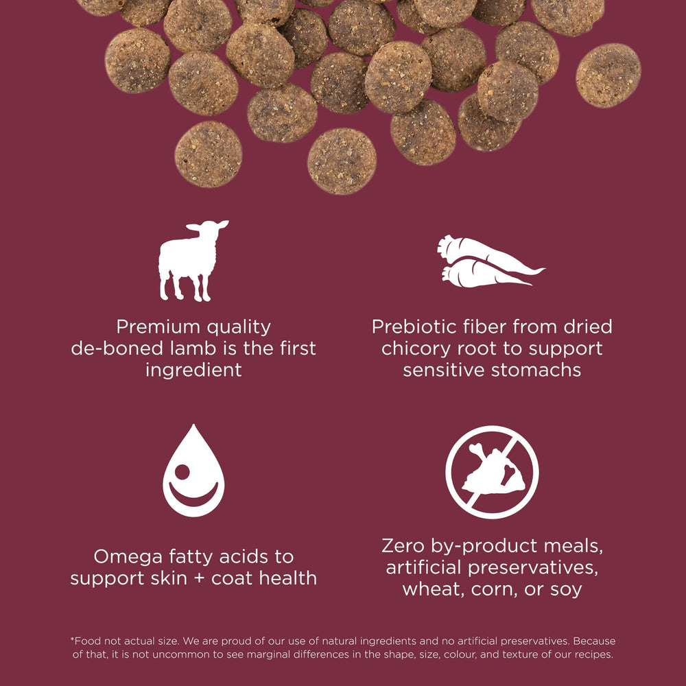 Go! Solutions Sensitivities Lamb dog food suitable for all life stages