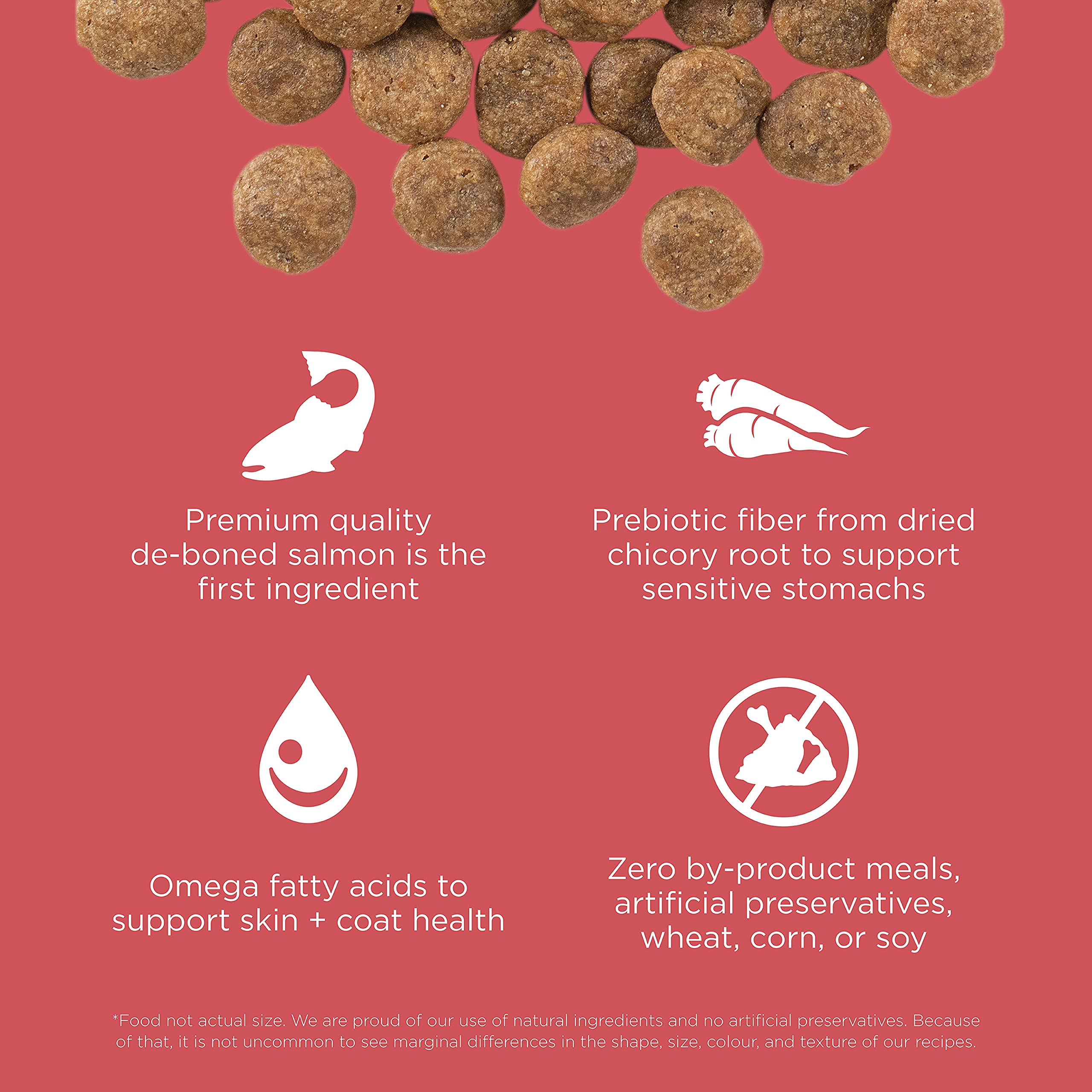 Go! Solutions Sensitivities Salmon Recipe ingredients panel emphasizes novel protein and chicory prebiotic fiber.