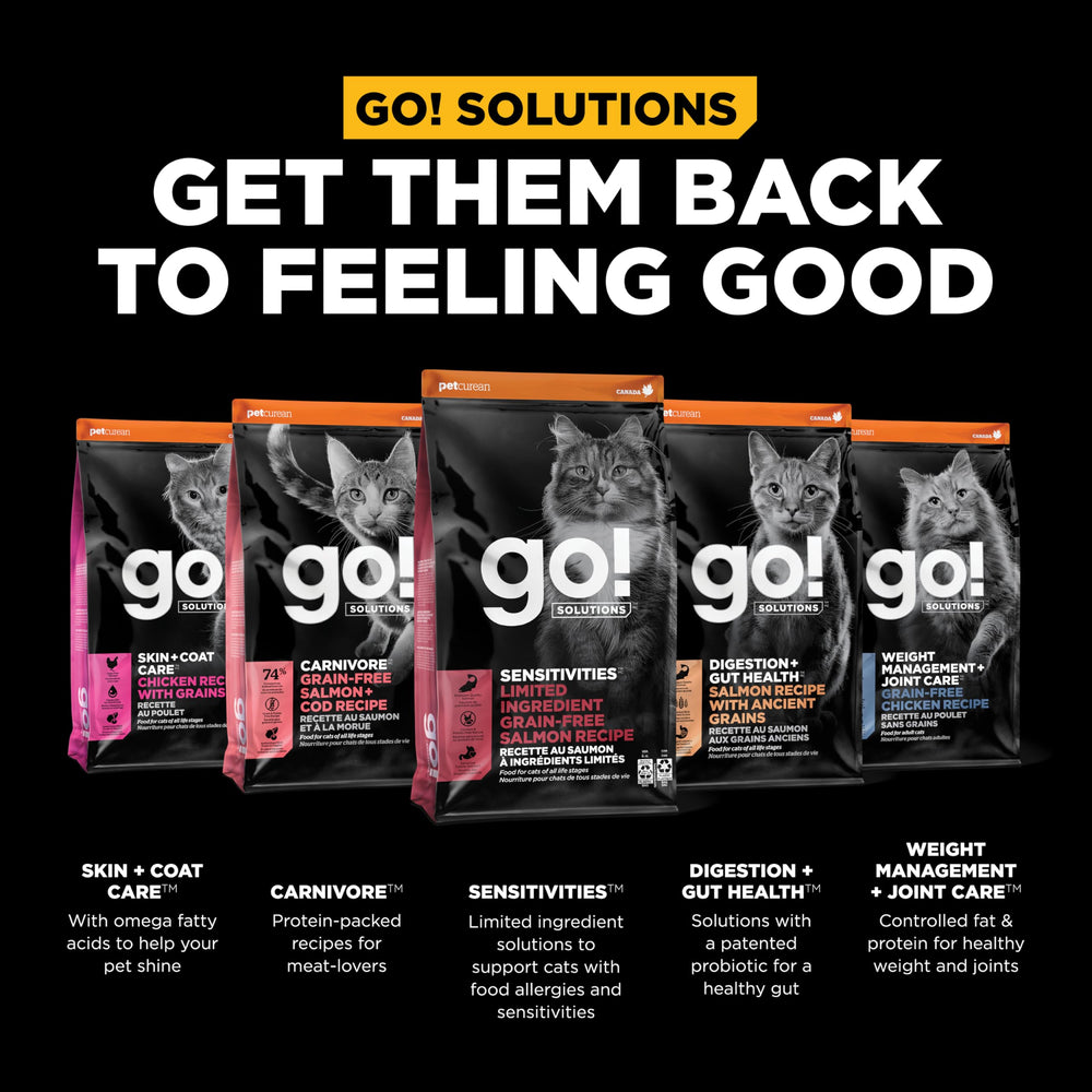 Go! Solutions Sensitivities no artificial preservatives in cat food
