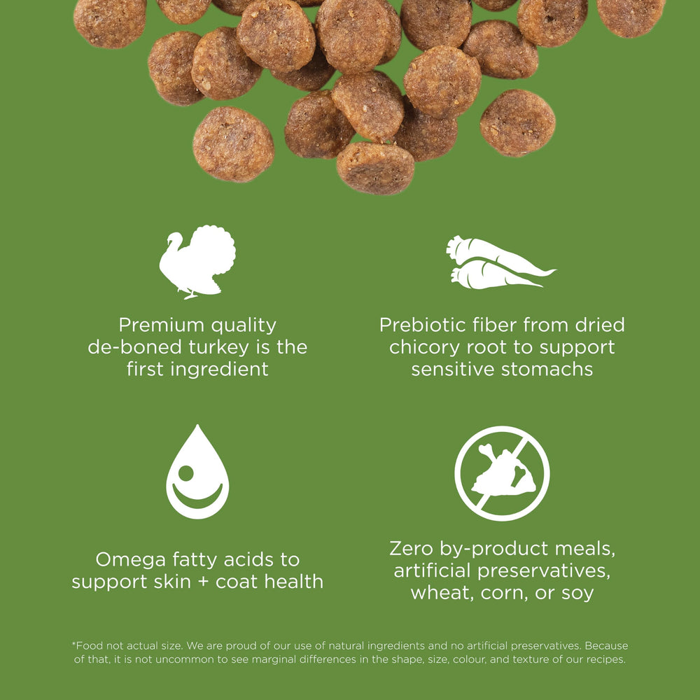 Go! Solutions Sensitivities puppy and dog photo illustrating versatile nutrition